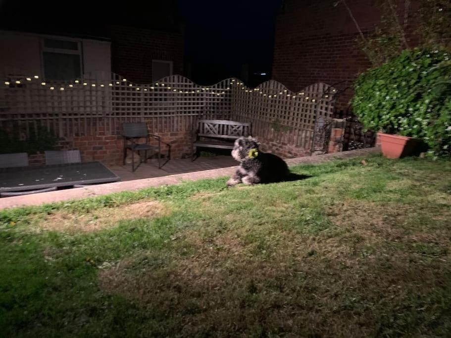 Award Winning Pet Friendly Paddock Cottage Whitby Exterior photo